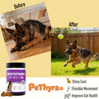One Daily Chew for a Healthier, Happier Dog