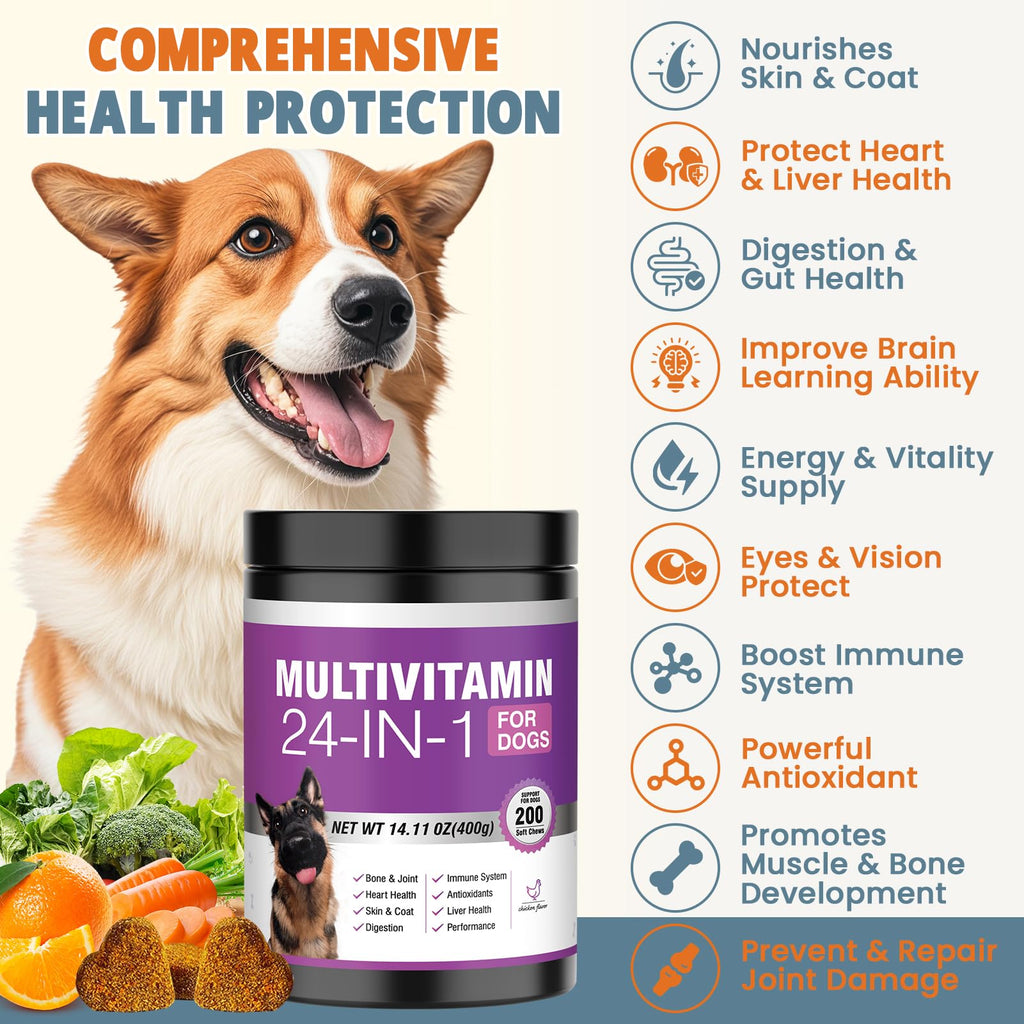 One Daily Chew for a Healthier, Happier Dog