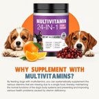 One Daily Chew for a Healthier, Happier Dog