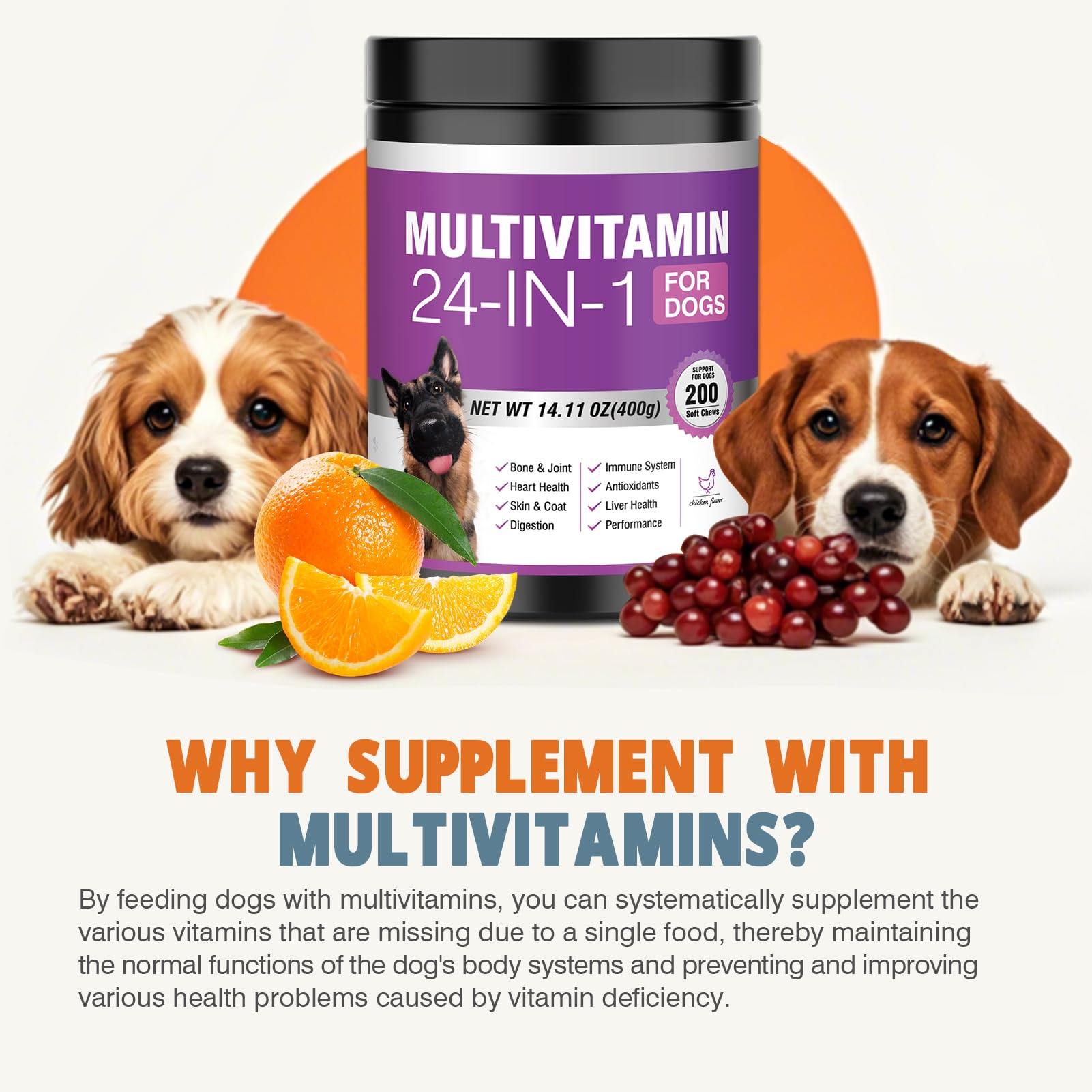 One Daily Chew for a Healthier, Happier Dog