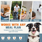 One Daily Chew for a Healthier, Happier Dog